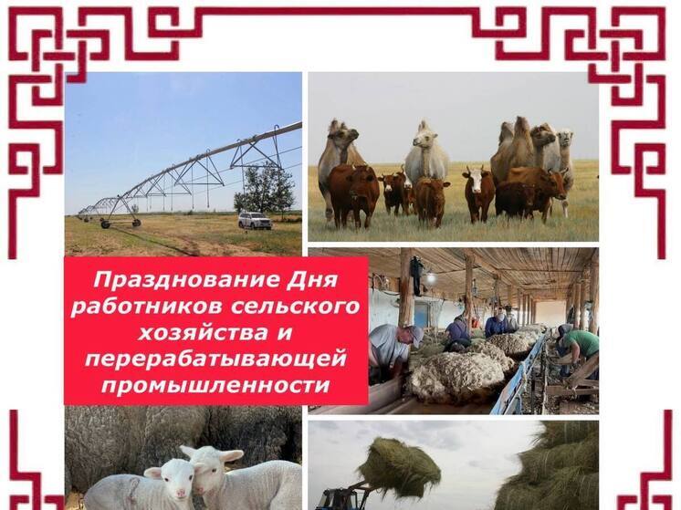 Яшкульский район готовится к празднованию Дня тружеников села