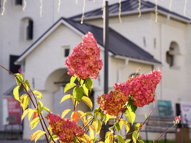 Поганкины палаты приглашают на экскурсию по купеческому быту XVII века 19 октября