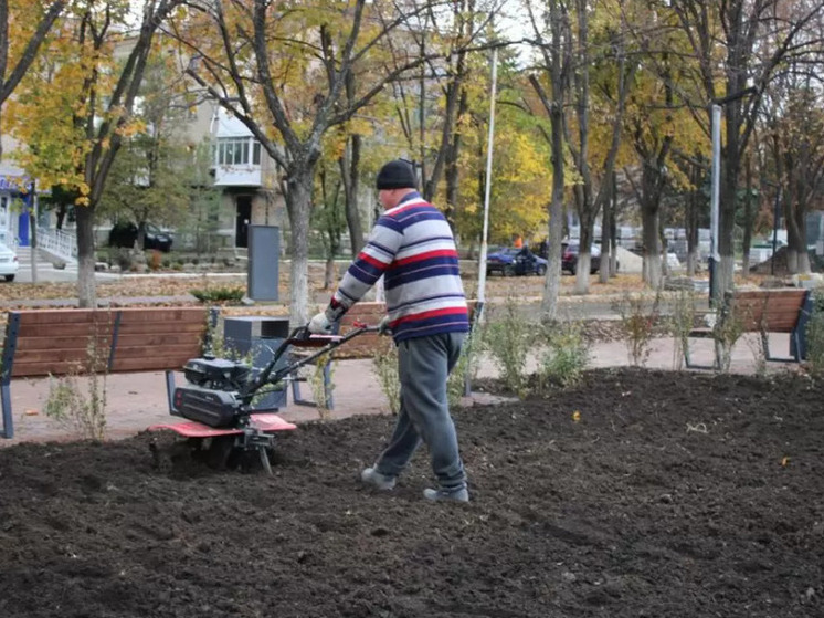 Обустройство "Каштановой аллеи" завершают в Ровеньках