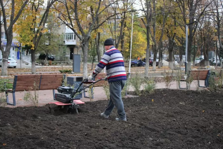 Обустройство "Каштановой аллеи" завершают в Ровеньках