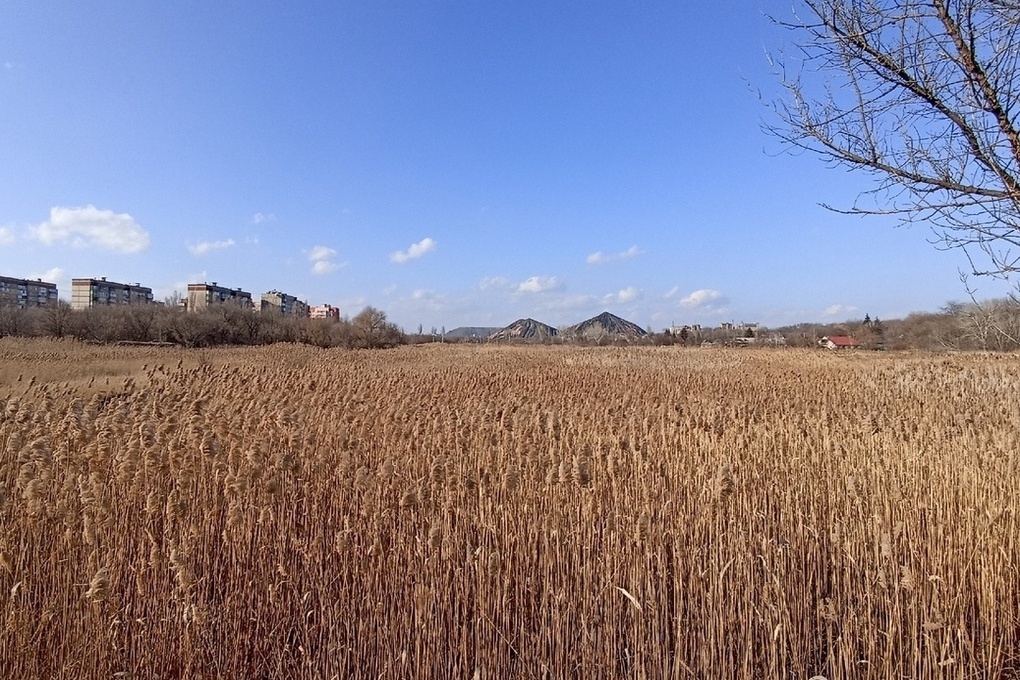 Россельхозцентр рассказал аграриям ЛНР, как сохранить урожай зерновых