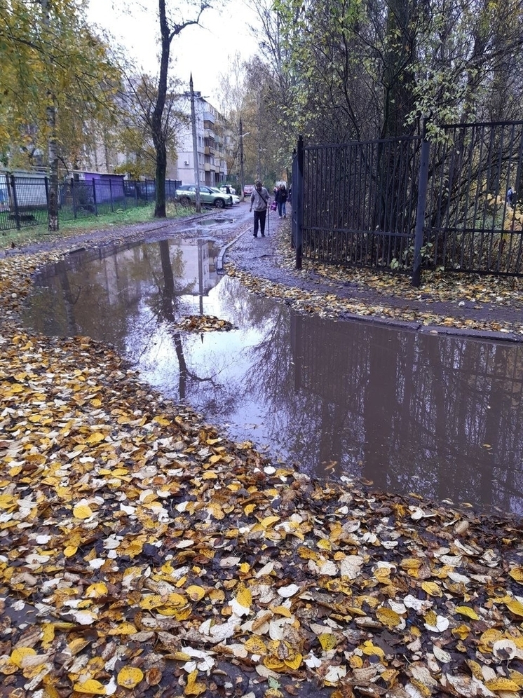 Ярославцы рассказали о социальных учреждениях, оставшихся без дорог