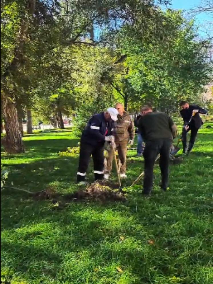 Сад памяти у Астраханского кремля пополнился новыми дубами