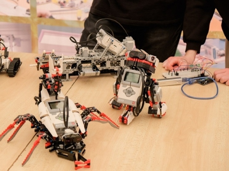 День открытых дверей проекта «Профессионалитет» проведут в Волгоградской области