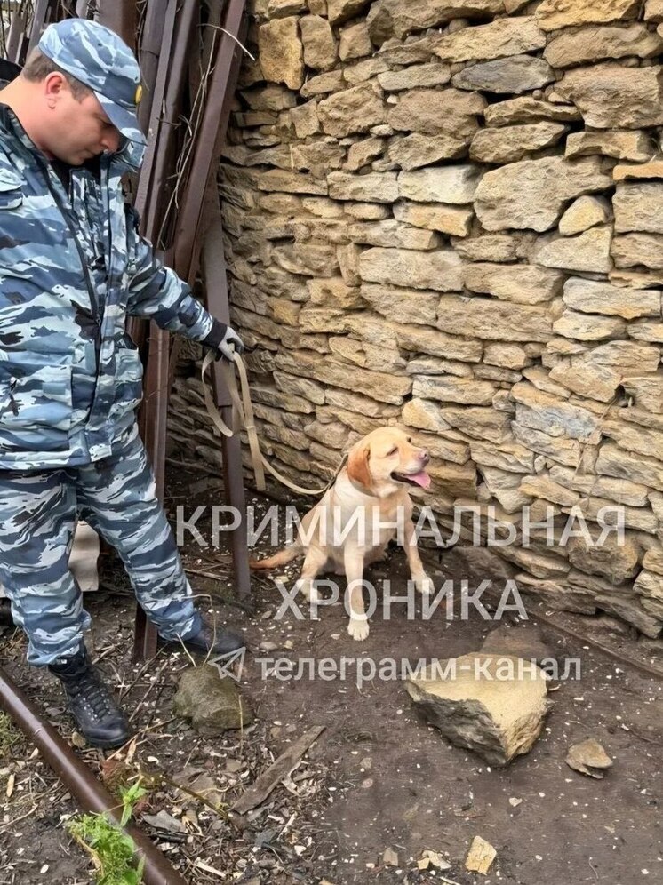 В Дагестане изъяли килограмм кокаина и задержали наркокурьера