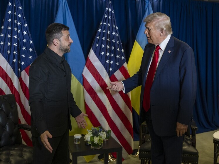 На Украине разочаровались в Трампе перед встречей с Зеленским