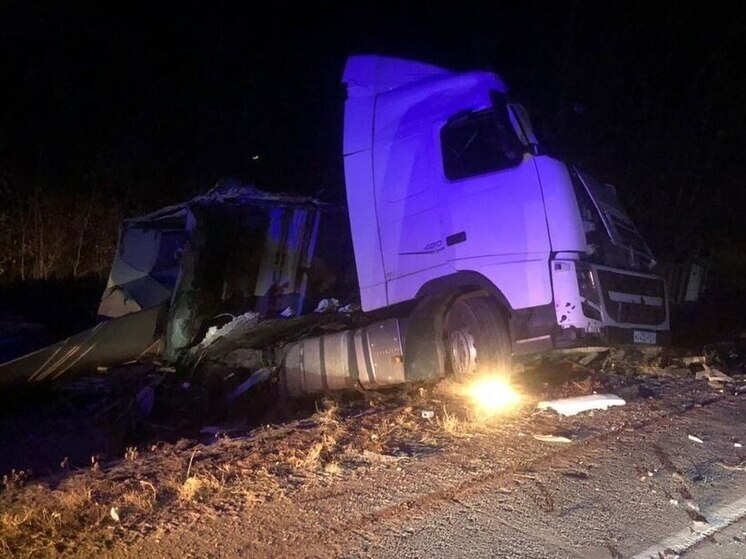 Водитель фуры погиб на трассе в Новосибирской области в массовом ДТП