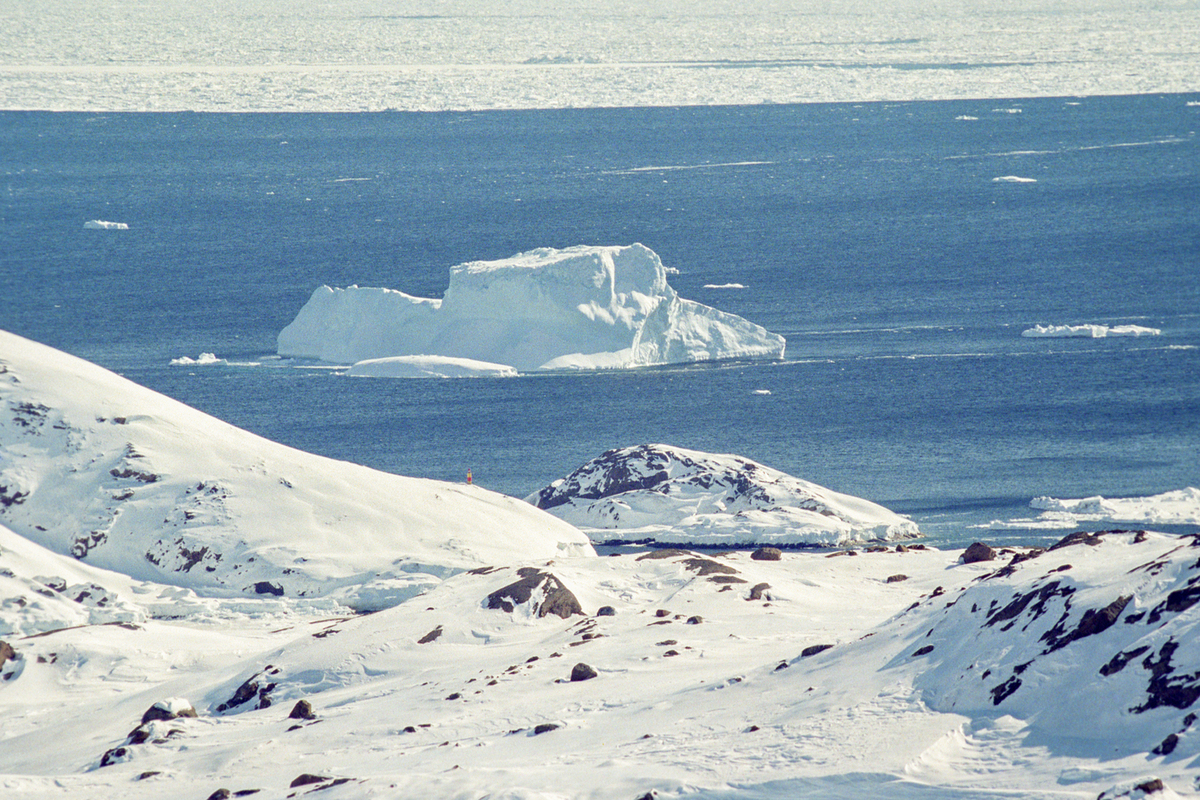 Cambiamento Climatico: Scienziati Canadesi Avvertono di una Catastrofe Imminente per le Città Costiere a Causa dell'Innalzamento del Livello del Mare