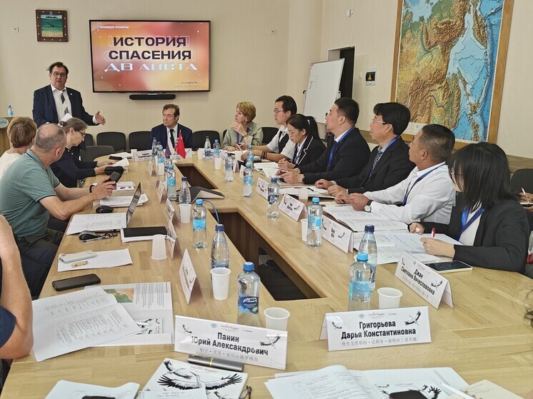 Дальневосточный аист как символ дружбы России и Китая