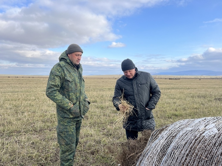В Бурятии оценили последствия почвенной засухи для аграриев