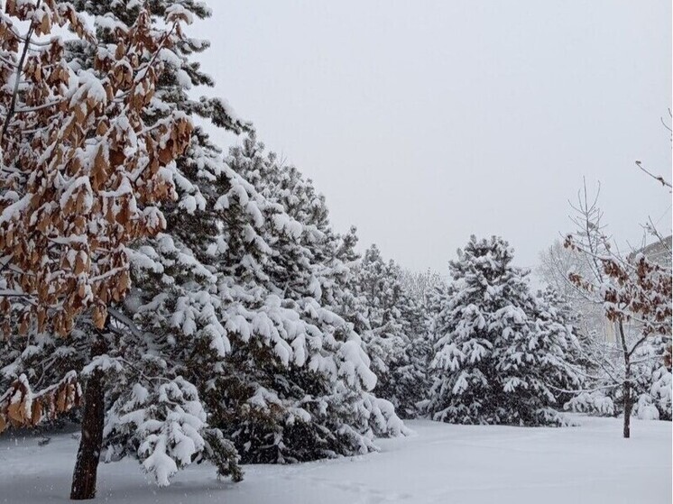 Осенний коллапс: надвигающийся циклон обещает хаос на дорогах Приморья