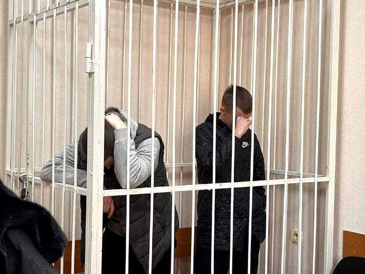 Рассмотрение дела о похищении девочки просят перенести из Новосибирска в Барнаул