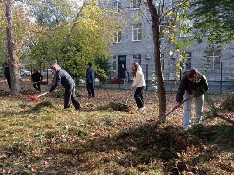 Два дня чистоты: в Барнауле 16 и 17 октября пройдут мероприятия по очистке города