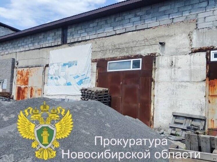 Суд в Новосибирске остановил работу фирмы из-за загрязнения атмосферы