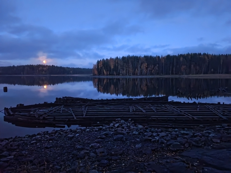 Вековые баржи показались на поверхности озера Янисъярви в Карелии