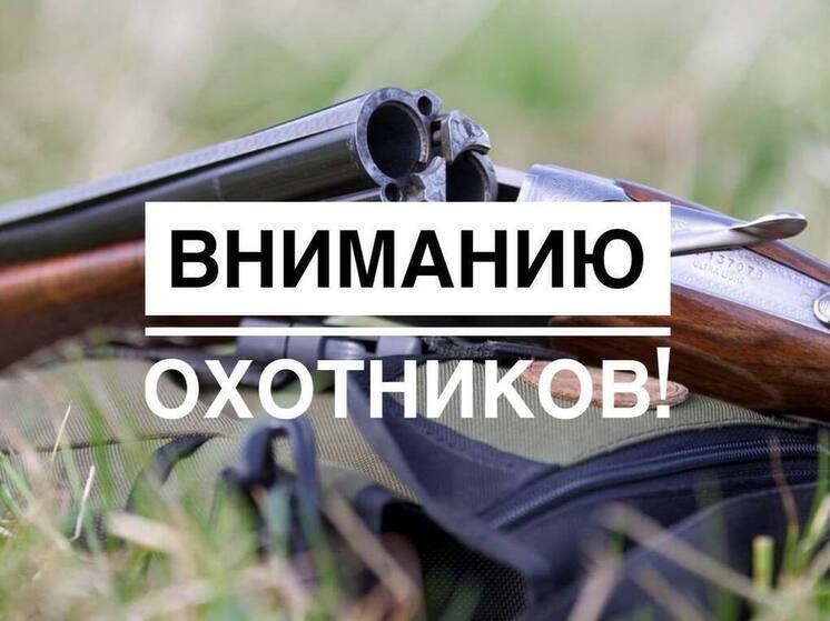 В Калужской области разрешили охотиться