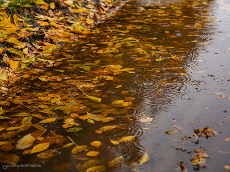 Ветер и холод ожидают Карелию 16 октября