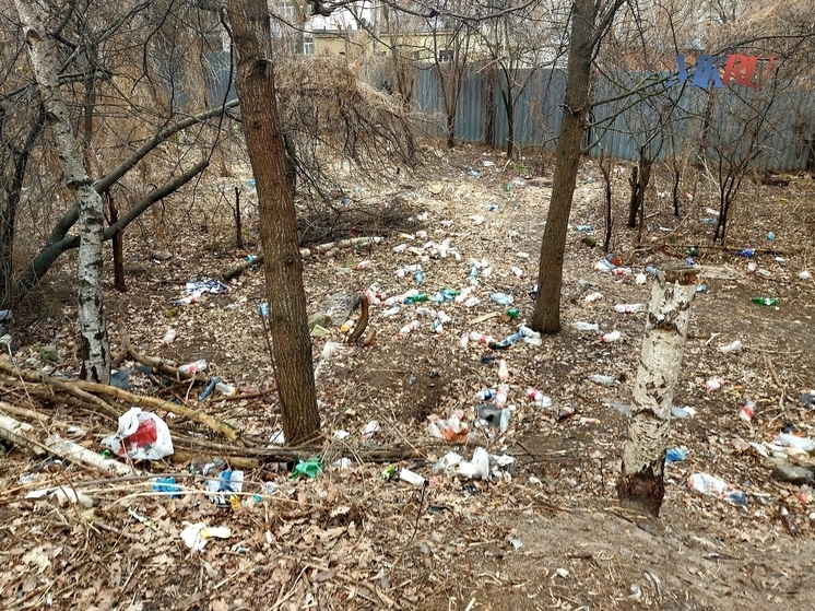 Калужан просят придержать мусор дома