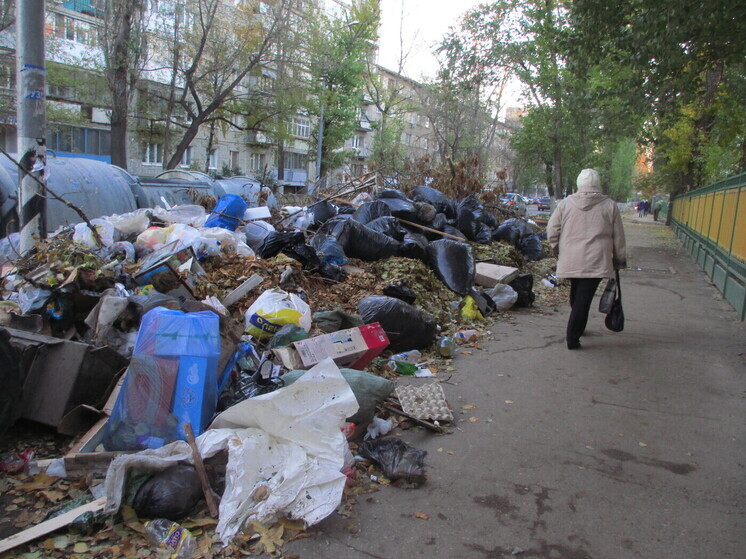 В Саратове за большие деньги продают мусорку