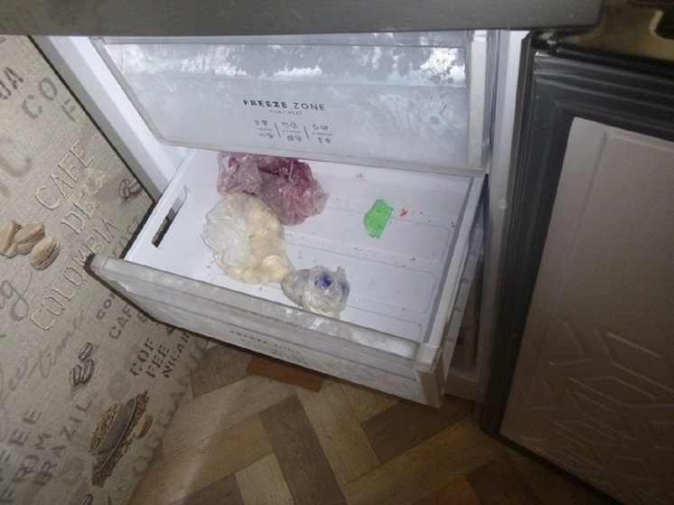 По соседству с пельменями: в Алтайском крае рецидивист хранил наркотики в морозилке