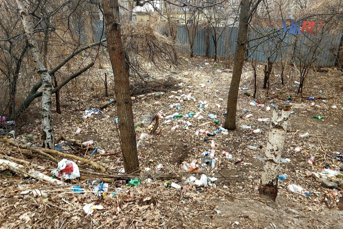 Калужан просят придержать мусор дома