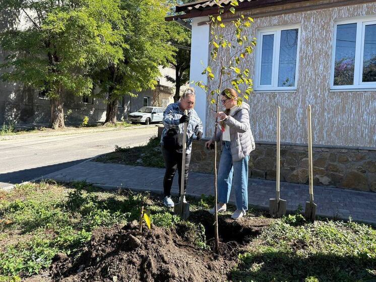 В Кисловодске администрация вместе с жителями высадят более 100 деревьев