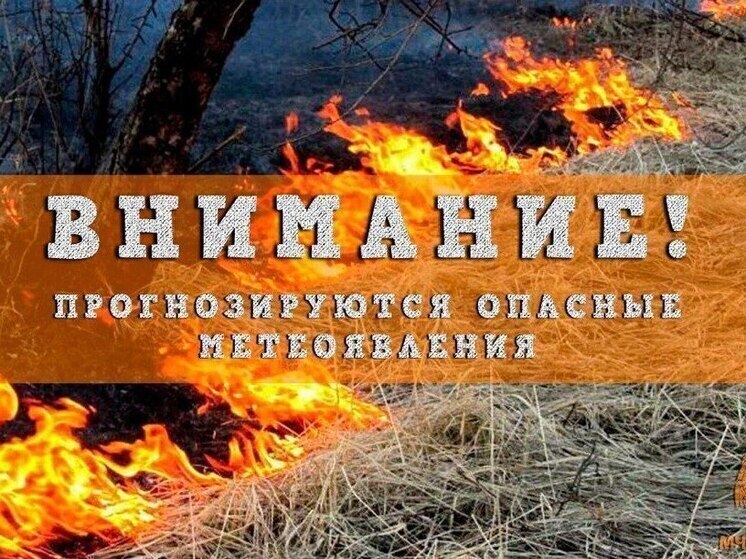 Стало известно об окончании пожароопасного сезона в регионе