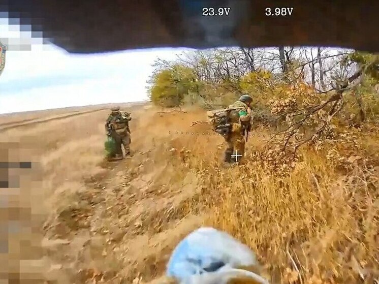 В ДНР «Горыныч» ликвидировал группу украинских операторов БПЛА