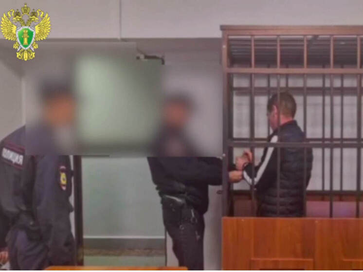 Йошкаролинец получил срок за нападение на собутыльника