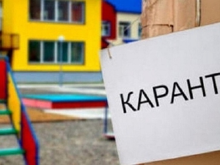 В 17 школах и 54 нижегородских детсадах введен карантин