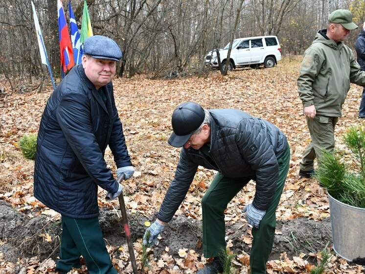 Лопатинский район присоединился к всероссийской акции «Сохраним лес»