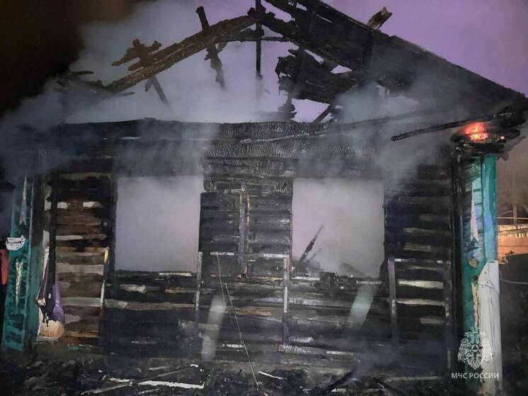 На пожаре в частном доме в Татарстане погиб мужчина