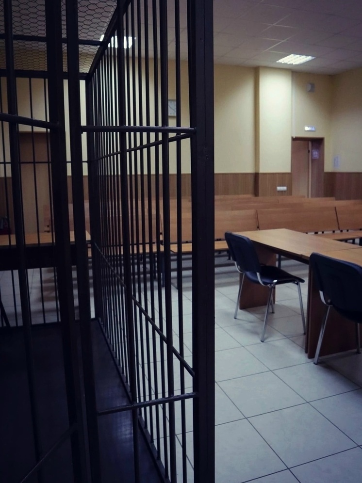 Во Владимире соседи через суд пробиваются в квартиру, где живут 13 собак