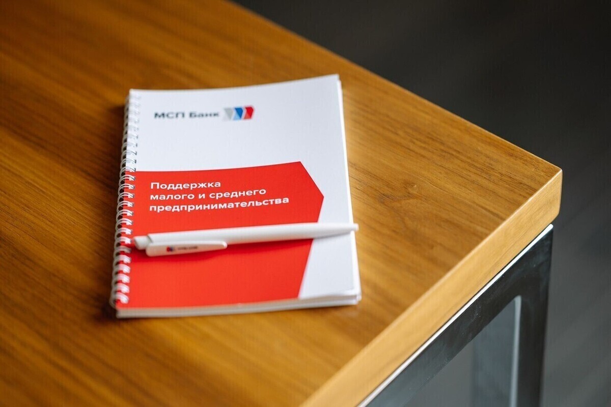 Бизнес Донбасса и Новороссии может получить почти 1,8 млрд рублей микрозаймов через МСП.РФ
