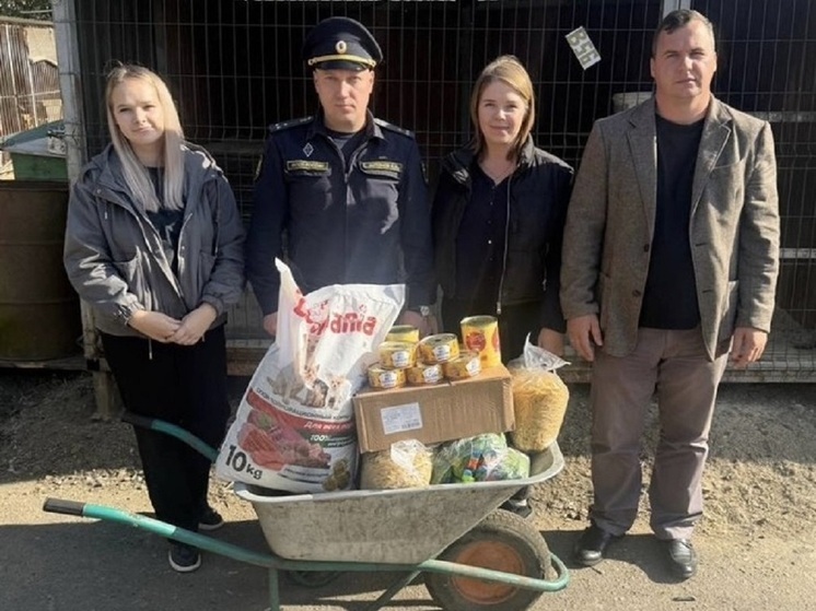 Ивановские приставы взяли под опеку приют для собак