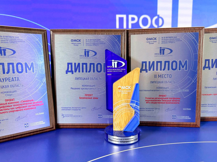 Липецкая область на цифровом олимпе: восемь побед в конкурсе «ПРОФ-IT»