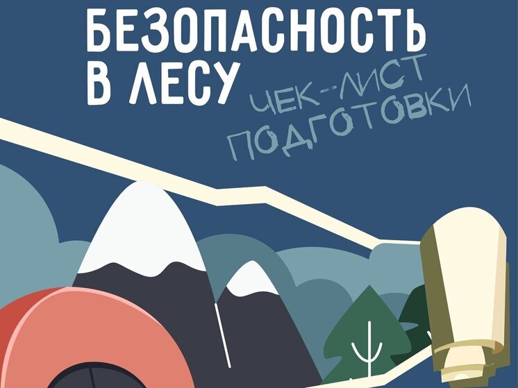 МЧС Пскова предупреждает: как не заблудиться в лесу и что делать, если это произошло