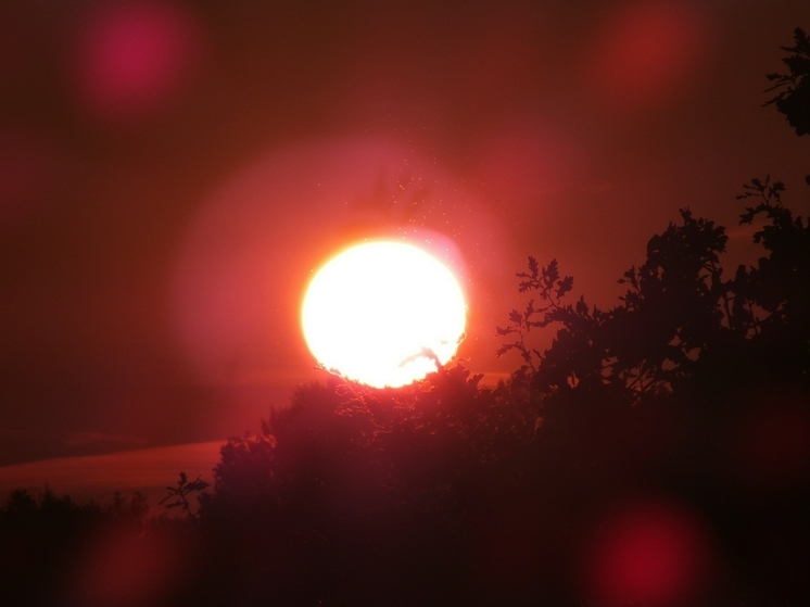 Астроном Киселев: Северный и Южный полюсы Земли могут поменяться местами