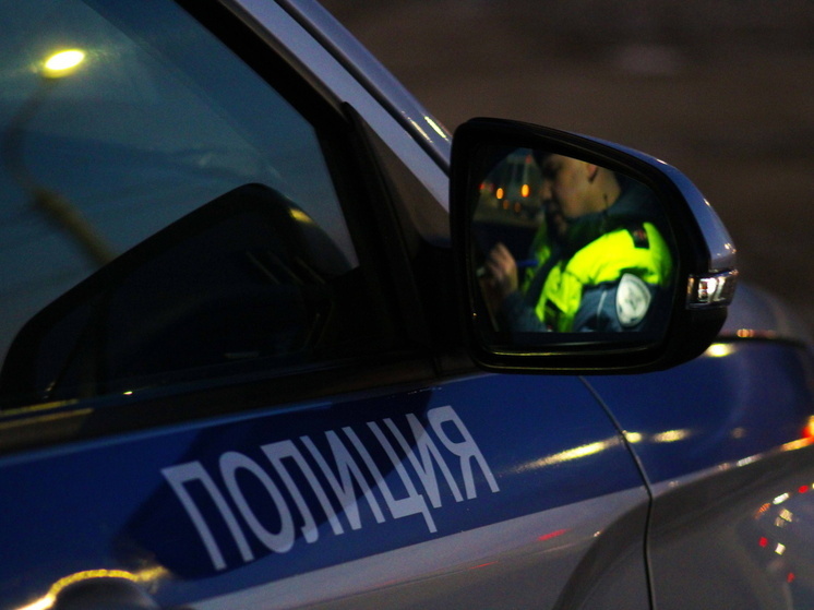 В Омске задержали нелегальных перевозчиков с неисправной «Газелью»