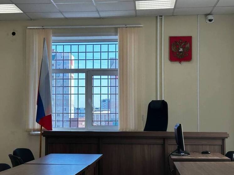 В Алтайском крае в суд ушло уголовное дело об убийстве восьмимесячной девочки