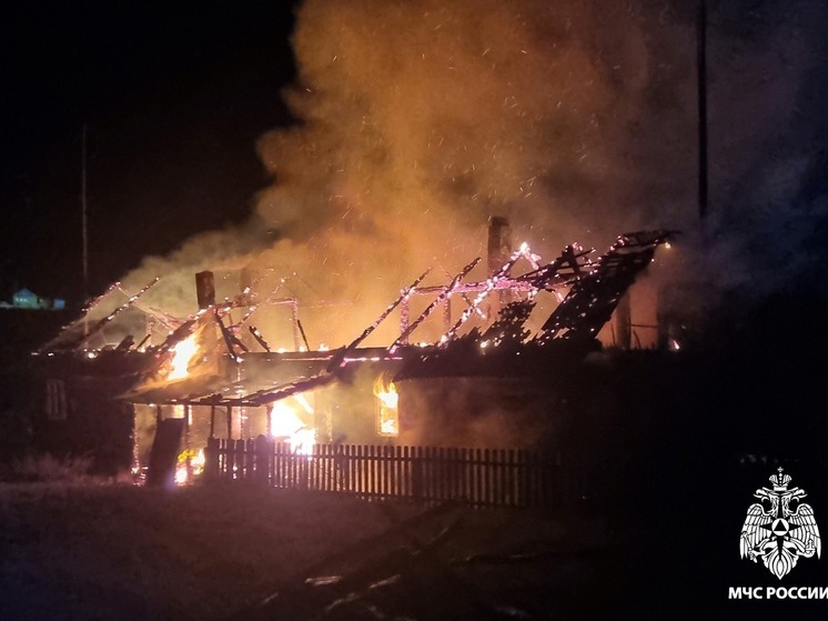 Горящий дом в Вологодской области успела покинуть семья из пяти человек