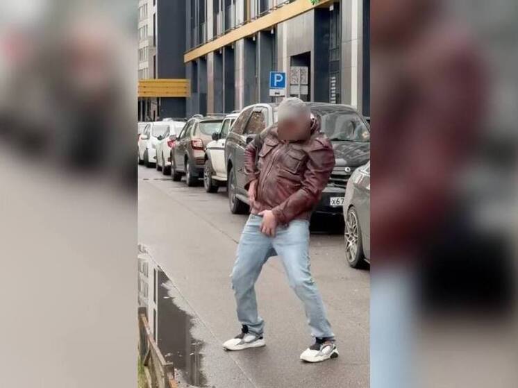 Пикапер средь бела дня пытался схватить девушку на набережной Макарова