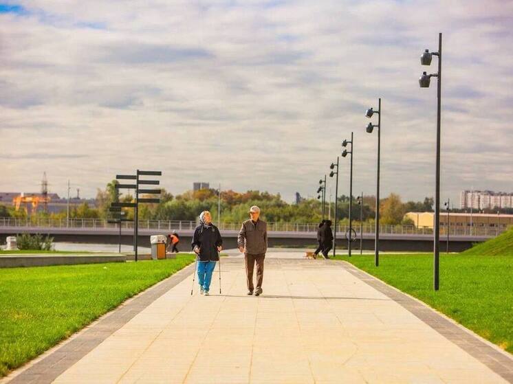 Парк «Дружба» связал Люберцы и Москву пешеходным мостом