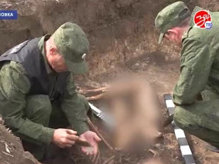 В Запорожской области найдены останки двух советских солдат