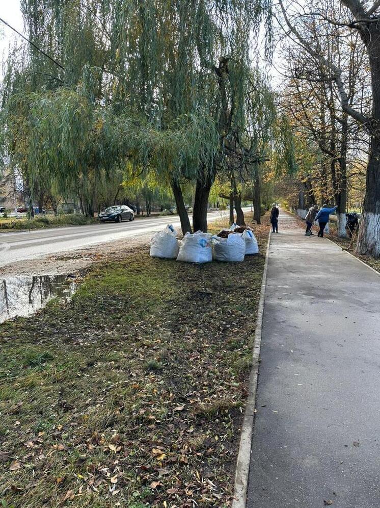 Назвали дату общегородского субботника в Ливнах Орловской области
