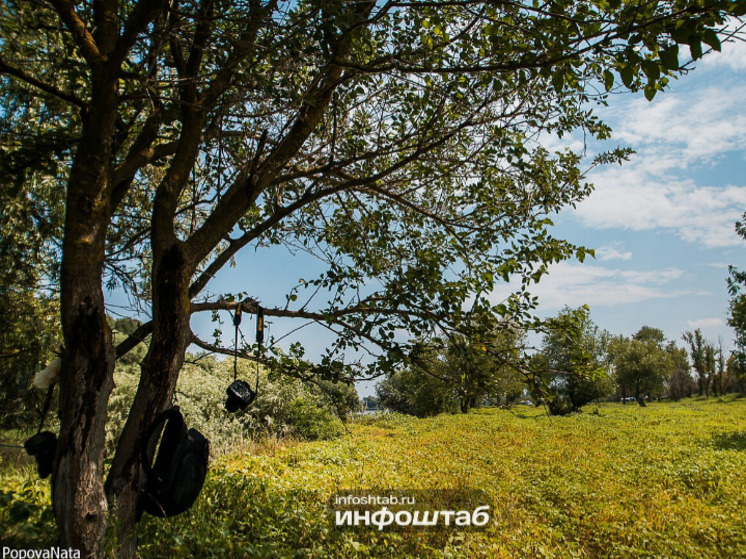 Ерофеев день 2025: что сулят народные приметы и чего стоит опасаться 17 октября