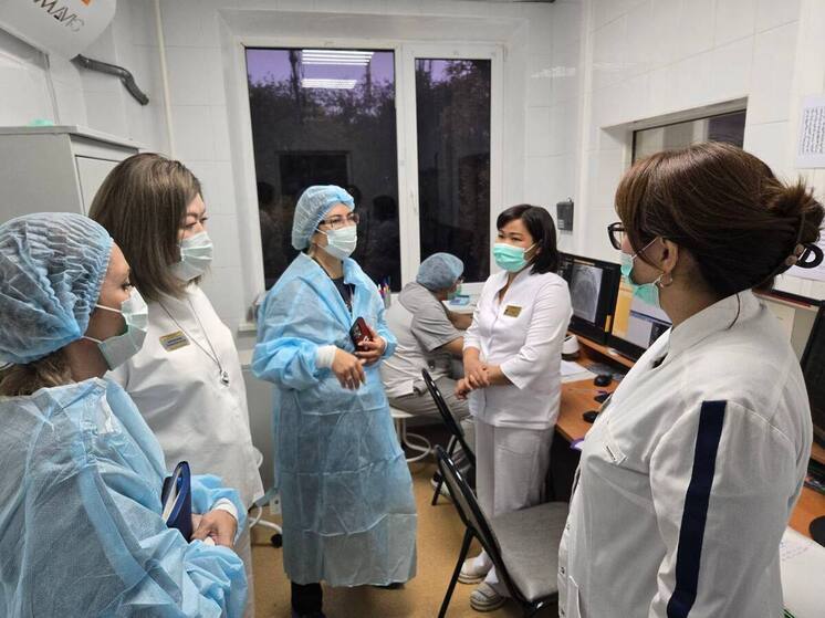 Эксперты Минздрава России оценили систему здравоохранения Калмыкии