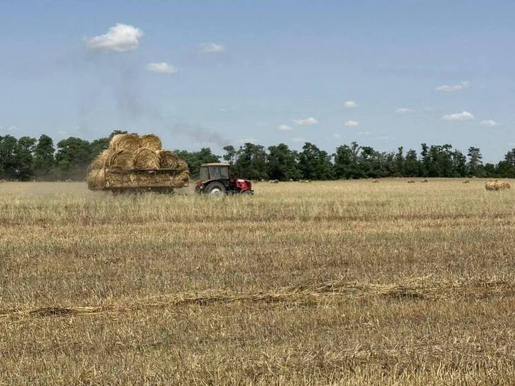 Аграрии Ставрополья завершили заготовку кормов для зимовки скота