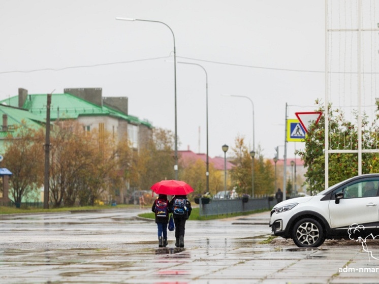 Нарьян-Мар предупредили о сильном ветре 17 октября