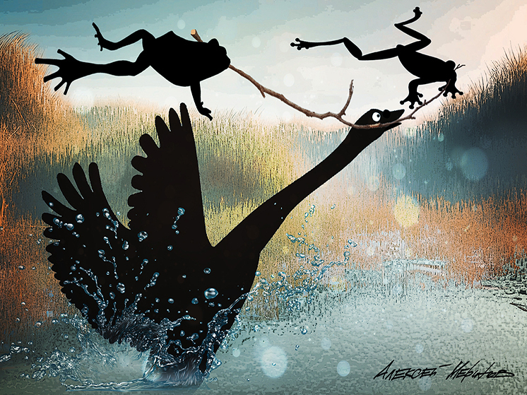 Коллекционер жизни